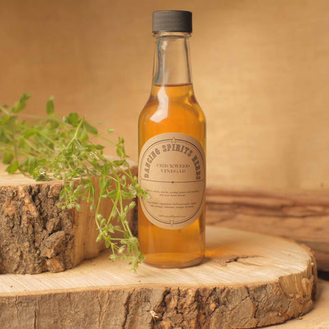 Chickweed Vinegar